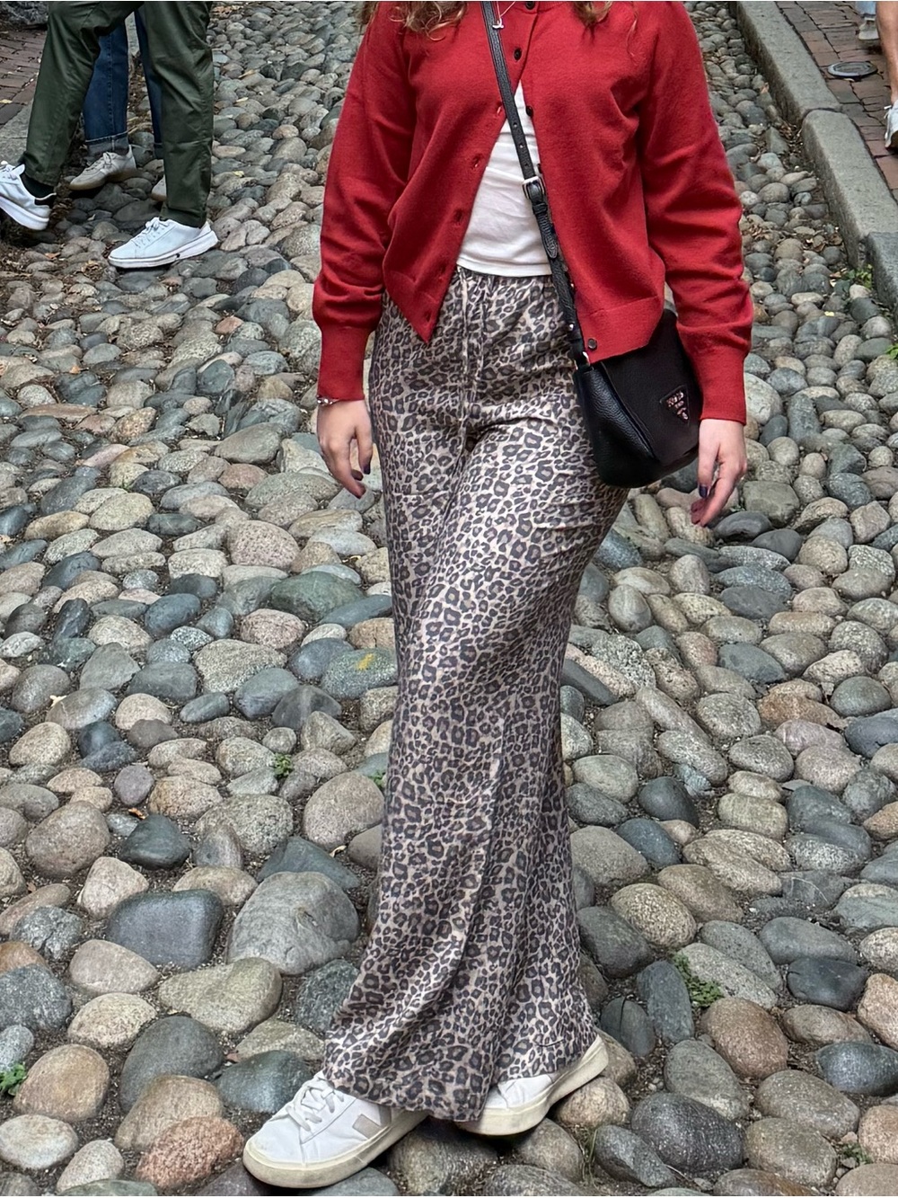 Leopard Print Pants